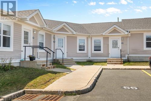 19 Spring Meadow Court, St.Johns, NL - Outdoor With Facade