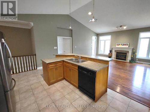 9 - 417 Hyde Park Road, London, ON - Indoor Photo Showing Kitchen With Fireplace With Double Sink