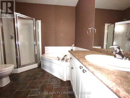 Master Bedroom ensuite - 9 - 417 Hyde Park Road, London, ON - Indoor Photo Showing Bathroom