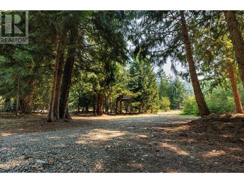 1405 Lepitzki Road, Creston, BC - Outdoor With View