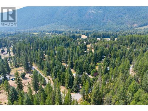 1405 Lepitzki Road, Creston, BC - Outdoor With View