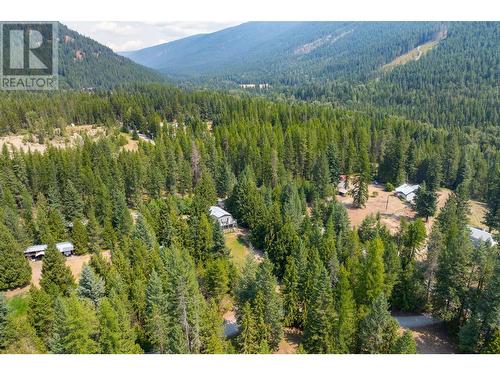 1405 Lepitzki Road, Creston, BC - Outdoor With View