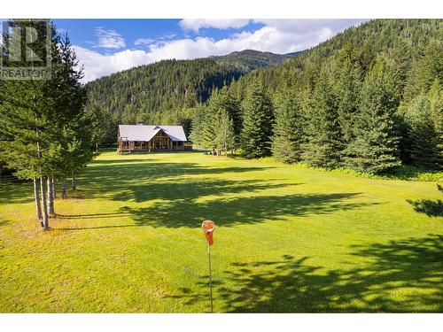 4785 Airport Way, Revelstoke, BC - Outdoor With View