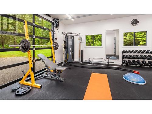 4785 Airport Way, Revelstoke, BC - Indoor Photo Showing Gym Room