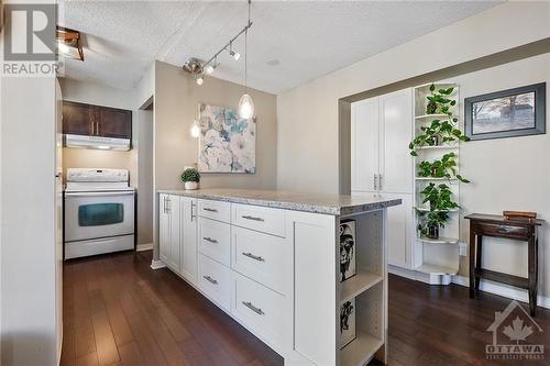 200 Bay Street Unit#1102, Ottawa, ON - Indoor Photo Showing Kitchen