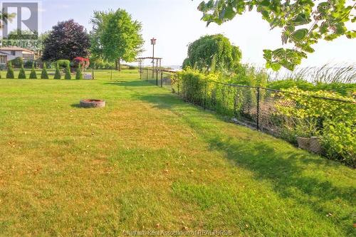 11507 Wildwood Line, Rondeau, ON - Outdoor