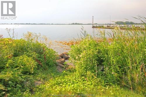 11507 Wildwood Line, Rondeau, ON - Outdoor With View