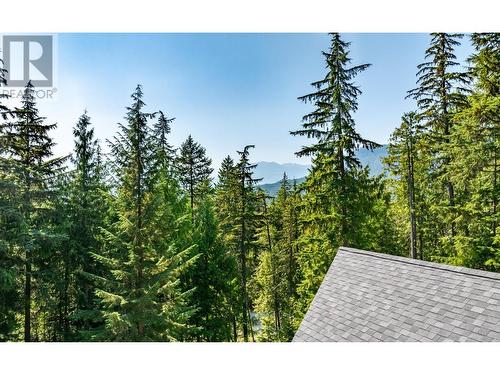 16242 Selkirk Road, Crawford Bay, BC - Outdoor