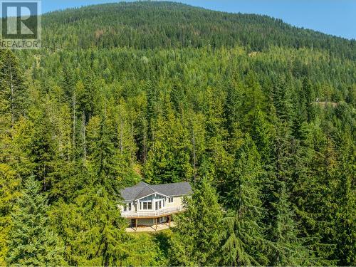 16242 Selkirk Road, Crawford Bay, BC - Outdoor With View