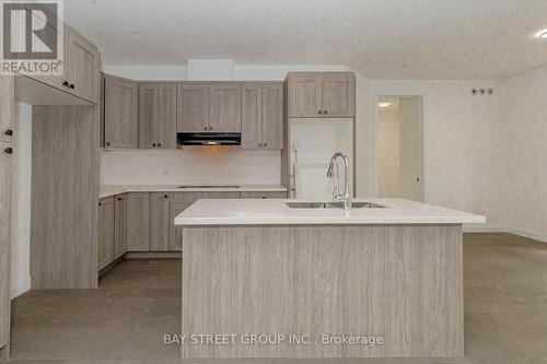 1 - 242 Mount Pleasant Street, Brantford, ON - Indoor Photo Showing Kitchen With Double Sink