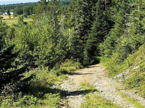 Confederation Road, Diligent River, NS 