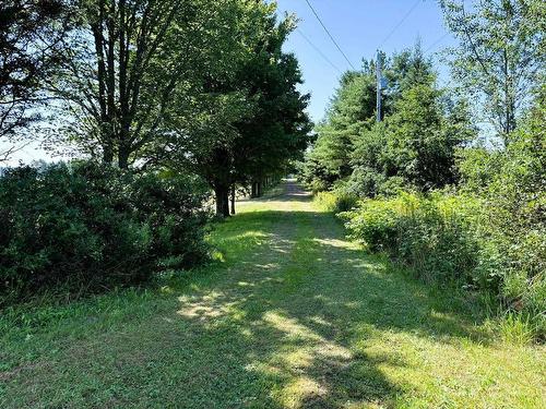 Confederation Road, Diligent River, NS 