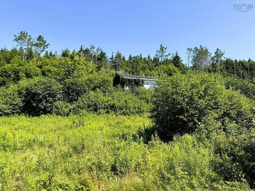 Confederation Road, Diligent River, NS 