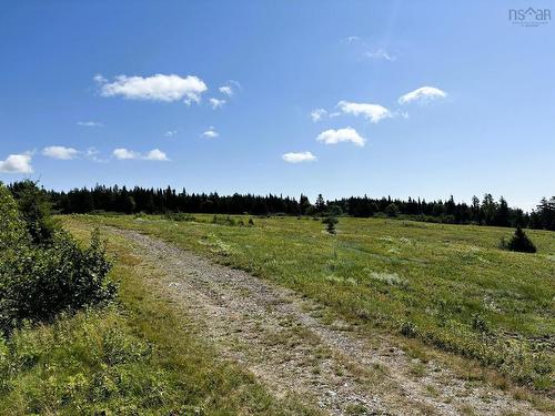 Confederation Road, Diligent River, NS 