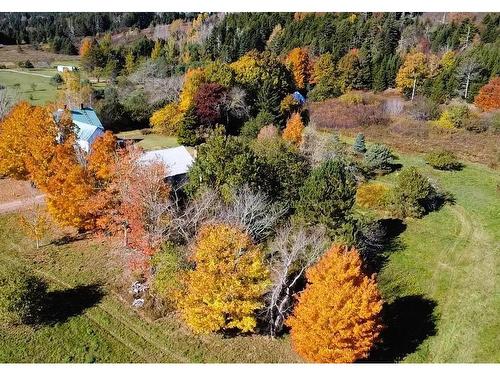 Confederation Road, Diligent River, NS 