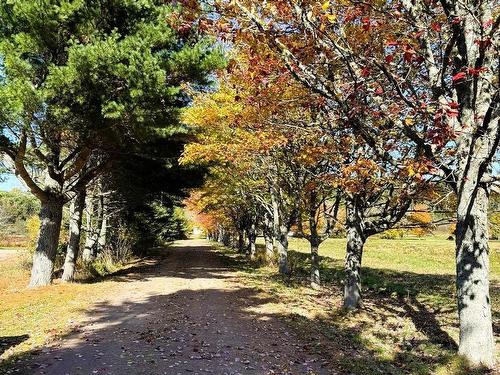 Confederation Road, Diligent River, NS 