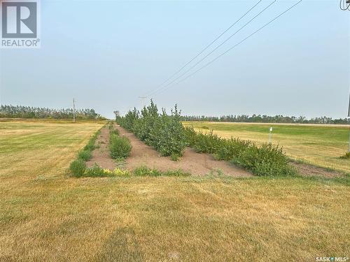 Thiedig Acreage, Weyburn Rm No. 67, SK - Outdoor With View