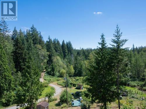 9773 Pryor Road, Powell River, BC - Outdoor With View