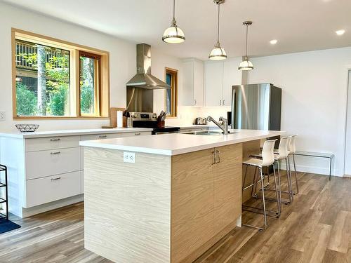 Cuisine - 1077A Rue Du Tour-Du-Lac, Val-David, QC - Indoor Photo Showing Kitchen With Upgraded Kitchen