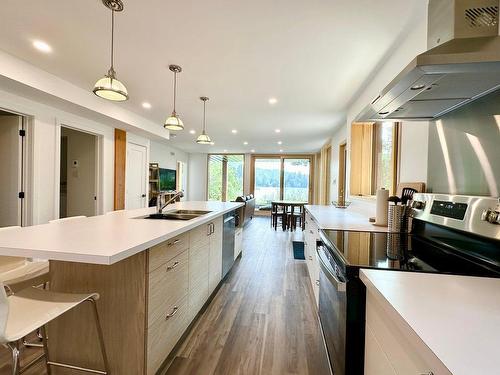 Vue d'ensemble - 1077A Rue Du Tour-Du-Lac, Val-David, QC - Indoor Photo Showing Kitchen With Double Sink With Upgraded Kitchen