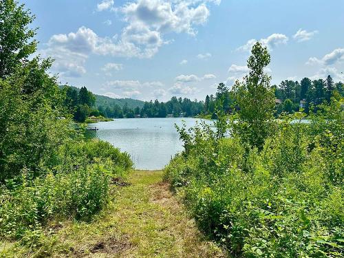 Bord de l'eau - 1077A Rue Du Tour-Du-Lac, Val-David, QC - Outdoor With View