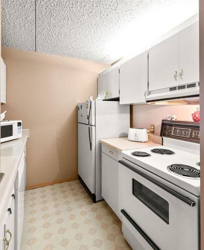 1014 77 Edmonton Street, Winnipeg, MB - Indoor Photo Showing Kitchen