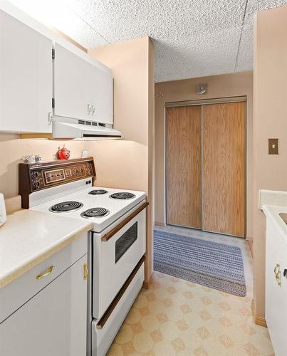 1014 77 Edmonton Street, Winnipeg, MB - Indoor Photo Showing Kitchen