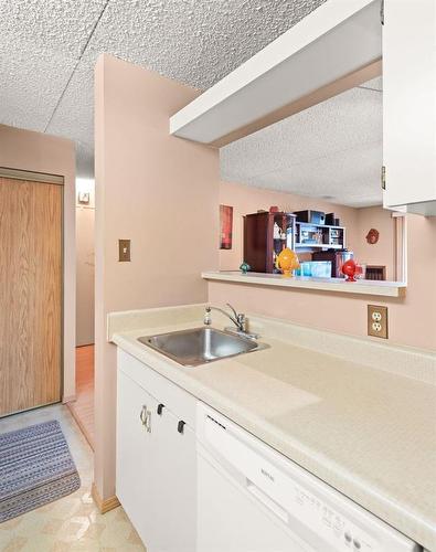 1014 77 Edmonton Street, Winnipeg, MB - Indoor Photo Showing Kitchen