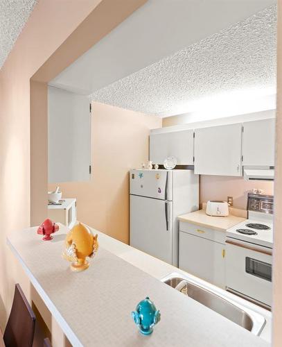 1014 77 Edmonton Street, Winnipeg, MB - Indoor Photo Showing Kitchen