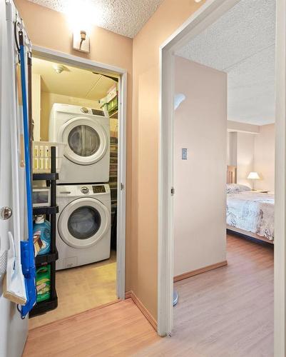 1014 77 Edmonton Street, Winnipeg, MB - Indoor Photo Showing Laundry Room