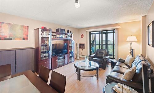 1014 77 Edmonton Street, Winnipeg, MB - Indoor Photo Showing Living Room