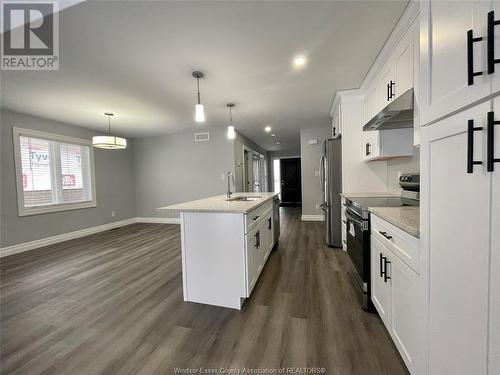 98 Kerr Avenue, Chatham, ON - Indoor Photo Showing Kitchen With Upgraded Kitchen