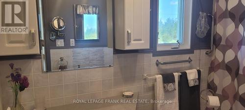 260 Plourde Road, Fauquier-Strickland, ON - Indoor Photo Showing Bathroom