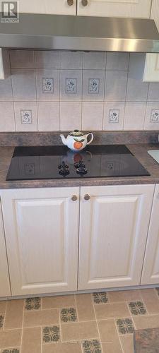 260 Plourde Road, Fauquier-Strickland, ON - Indoor Photo Showing Kitchen