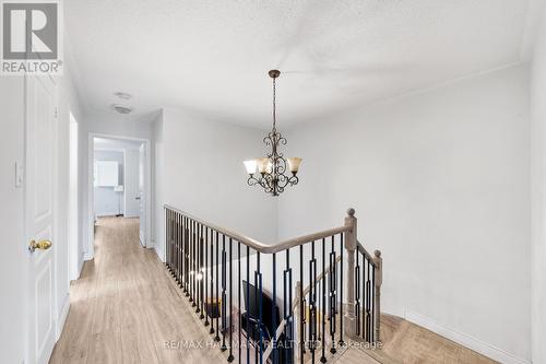 11 Alberta Drive, Vaughan, ON - Indoor Photo Showing Other Room