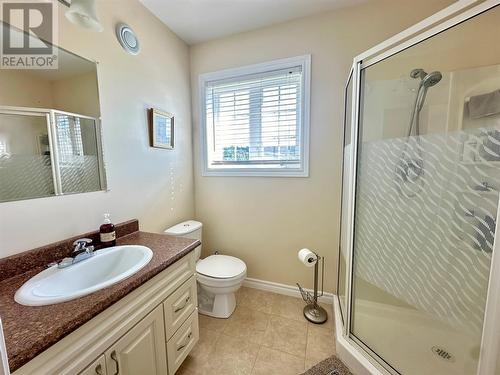 169 Main Street, Rocky Harbour, NL - Indoor Photo Showing Bathroom