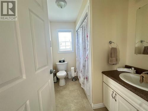 169 Main Street, Rocky Harbour, NL - Indoor Photo Showing Bathroom