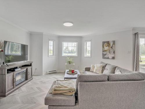 Salon - 101-479 Rue De Cannes, Gatineau (Gatineau), QC - Indoor Photo Showing Living Room