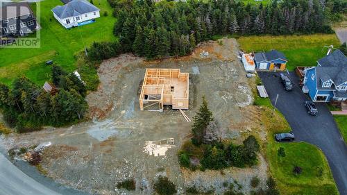 2 Haleys Place, Flatrock, NL - Outdoor With View