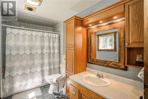 105 Big Lake Dam Road, Mindemoya, ON - Indoor Photo Showing Bathroom