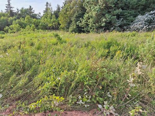 Lot 5 Blue Heron Drive, North Rustico, PE 