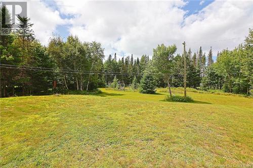 63 Katie Avenue, Douglas, NB - Outdoor With View