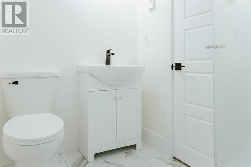 31 Wilcockson Crescent, Gander, NL - Indoor Photo Showing Bathroom