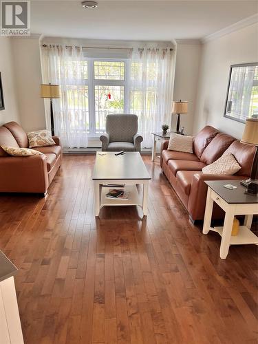 9 Shaw Place, Happy Valley-Goose Bay, NL - Indoor Photo Showing Living Room