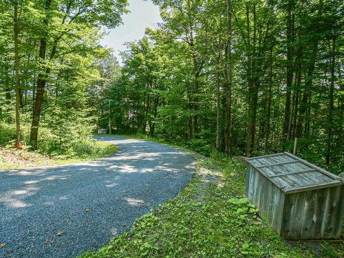 Autre - 2019Z  - 2021Z Mtée Du Cap-Violet, Sainte-Lucie-Des-Laurentides, QC - Outdoor