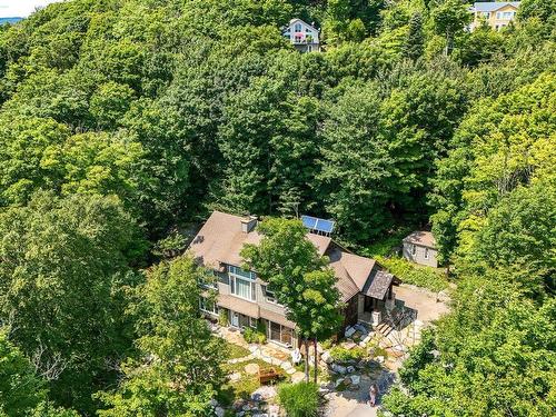 Vue d'ensemble - 2019Z  - 2021Z Mtée Du Cap-Violet, Sainte-Lucie-Des-Laurentides, QC - Outdoor