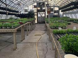 Greenhouse - 