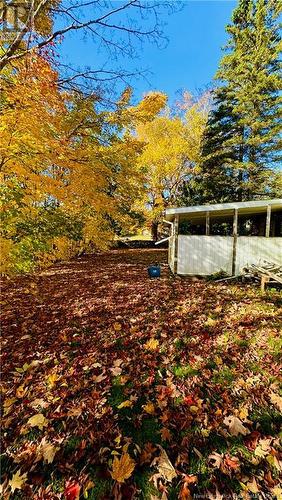 106 Noble Street, Woodstock, NB - Outdoor With View