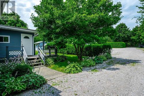 1055 Primrose Lane, Smith-Ennismore-Lakefield, ON - Outdoor