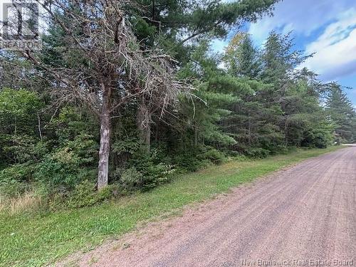 Lot 1 Adair Road, Penobsquis, NB 